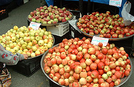apples