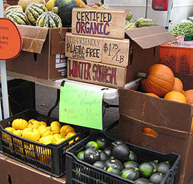 fall fruit