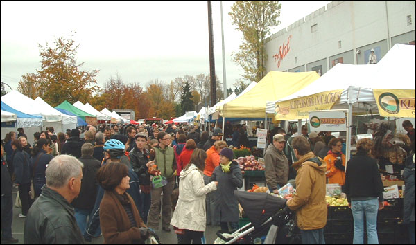 wintermarket