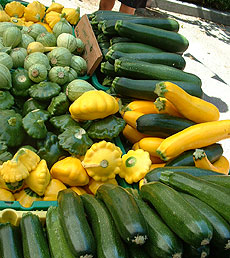 zucchinis