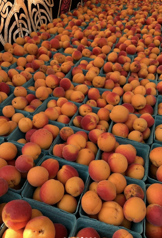 Riley Park Summer « Vancouver Farmers Market