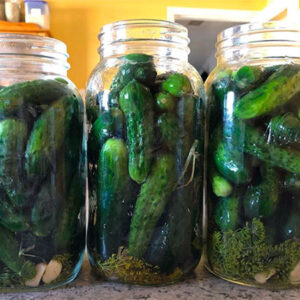 In Season: Traditional Dill Pickles « Vancouver Farmers Market