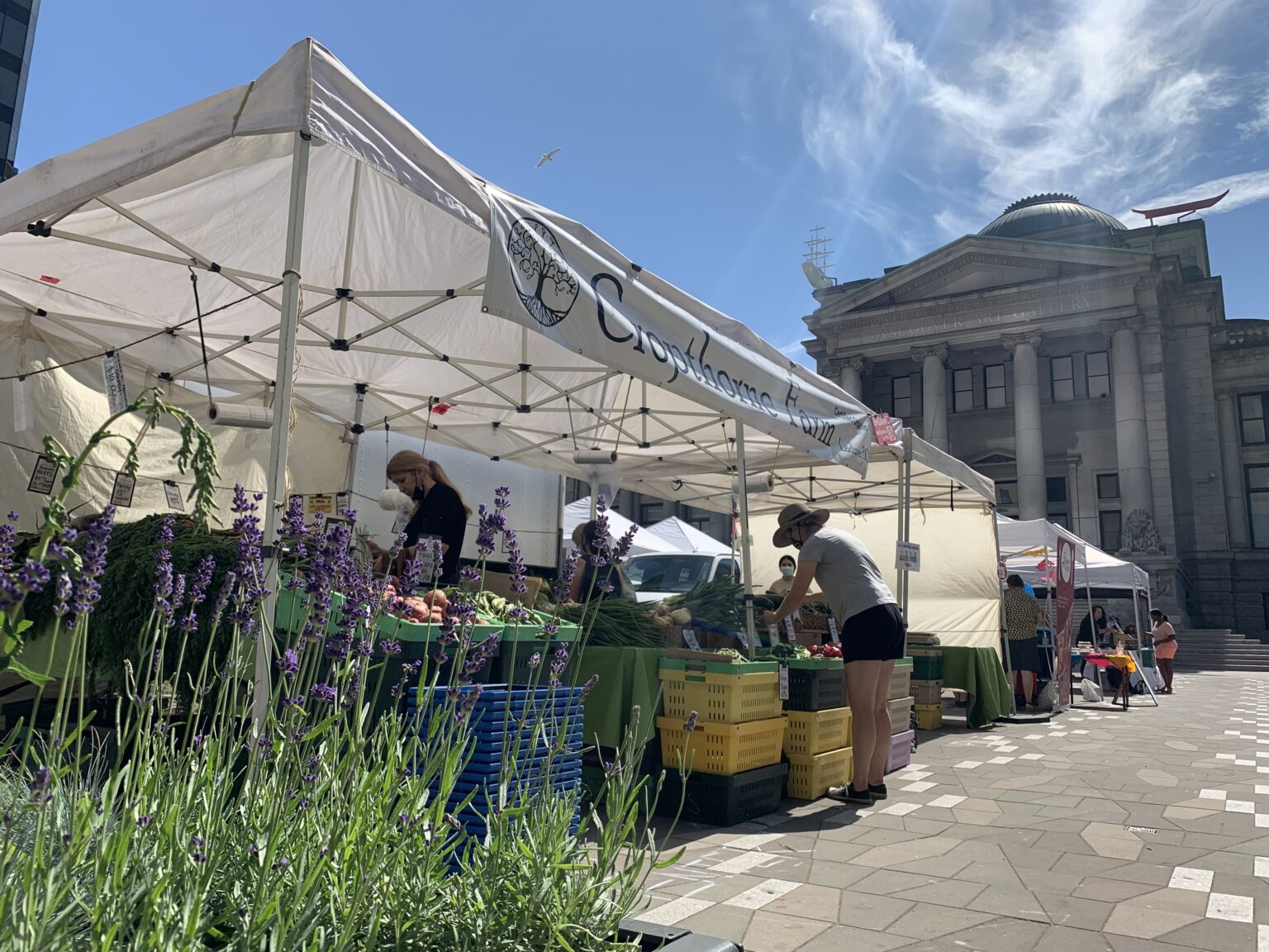 5 Reasons to Visit the Downtown Farmers Market This Summer « Vancouver